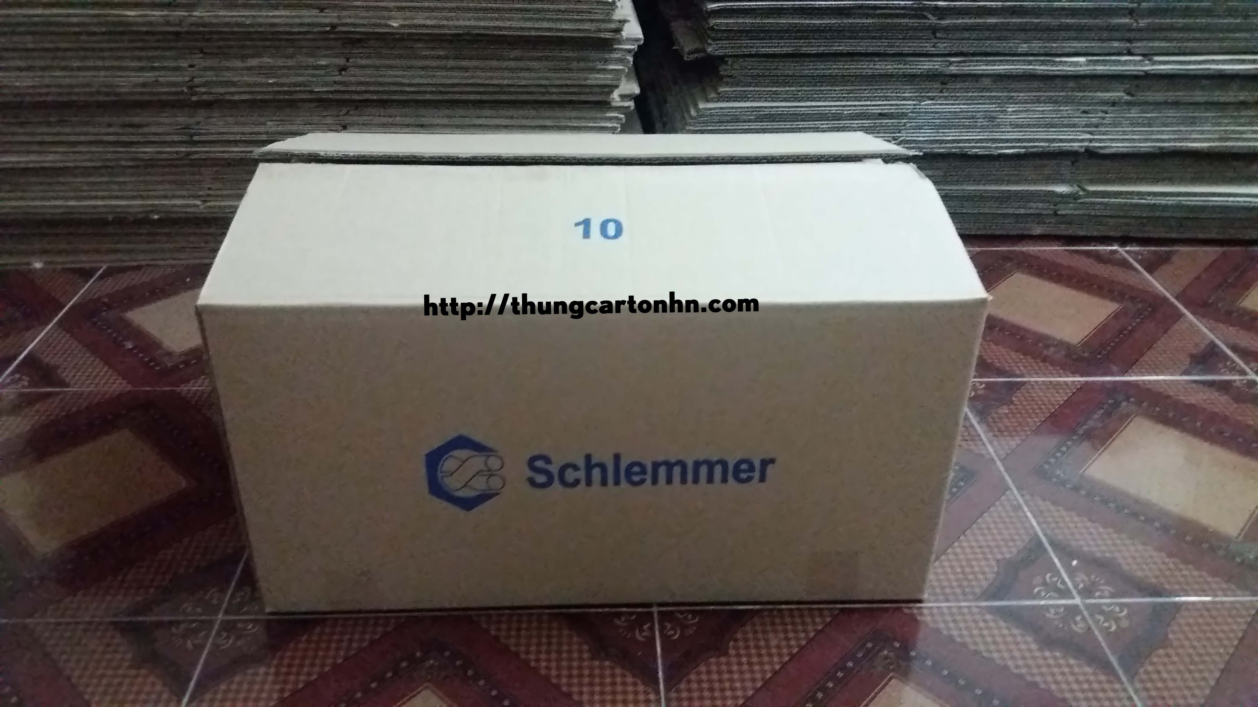 thùng carton 5 lớp Schlemmer